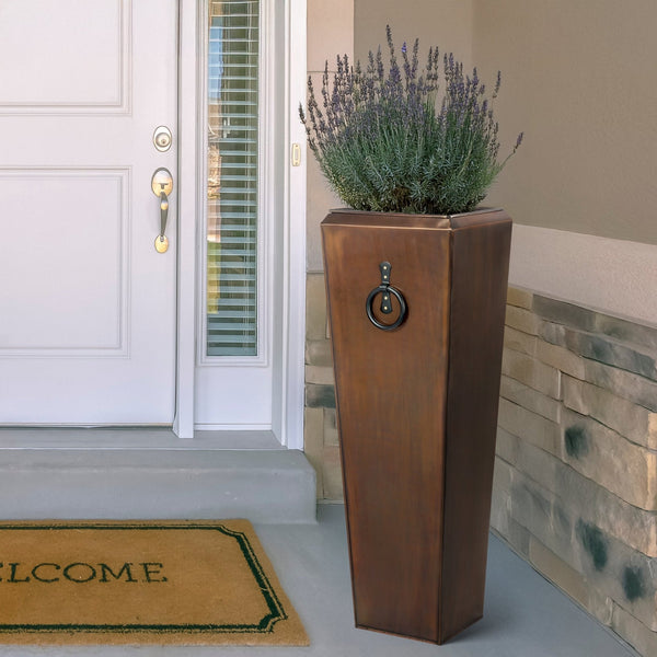 Six Great Plants to Put in Your Front Door Planters