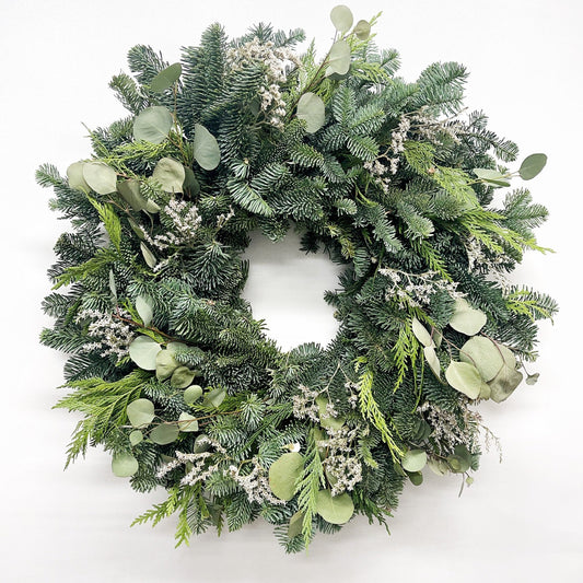 Green Christmas wreath eucalyptus with frosty accents on a white back ground 