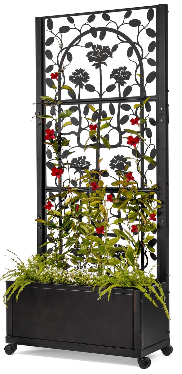 The 2026 Garden Outlook: Permanence, Structure, and Sanctuary
