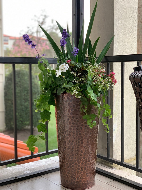 Late Summer Gardening: Unlocking the Magic of the Season
