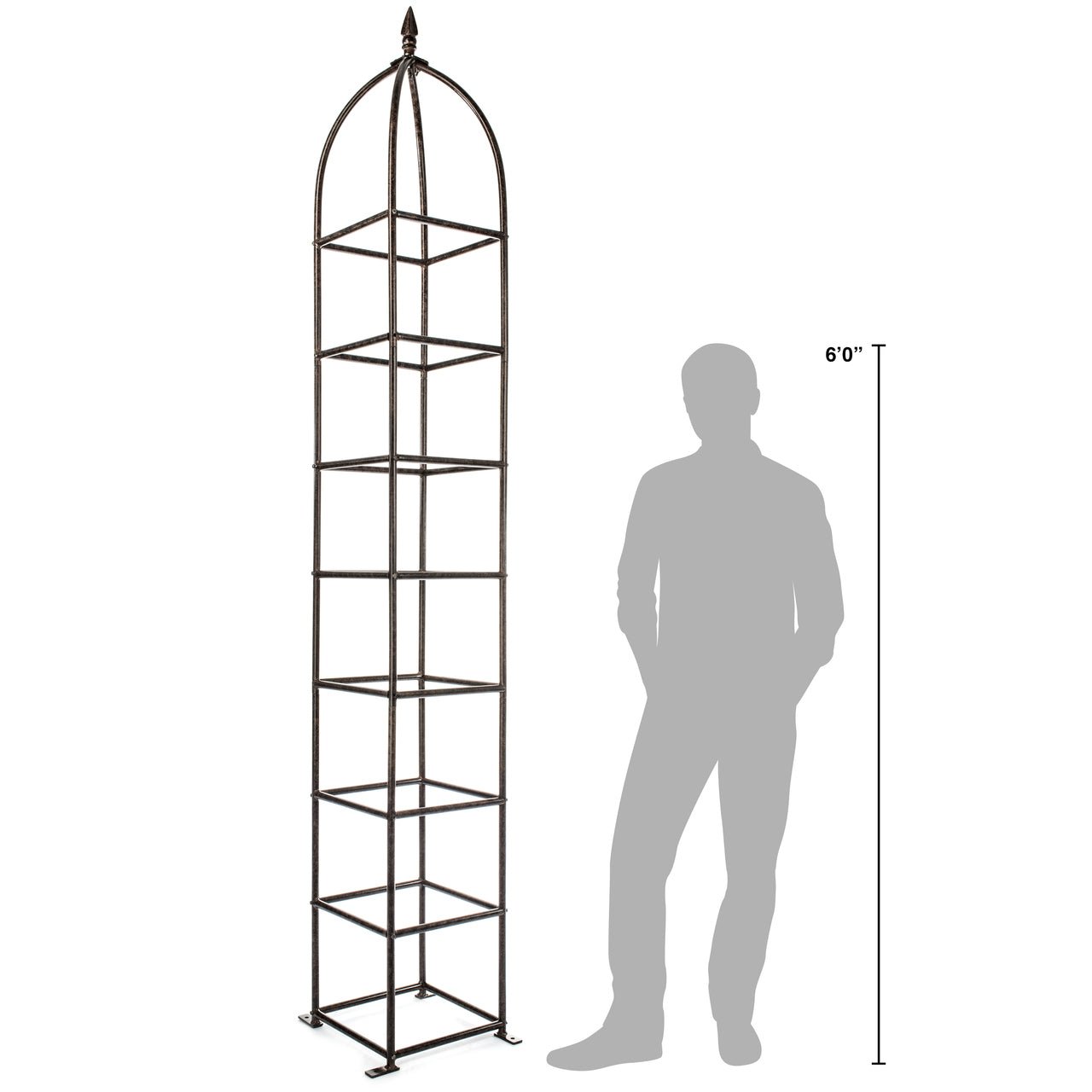 chic farming obelisk trellis shown next to person for height scale