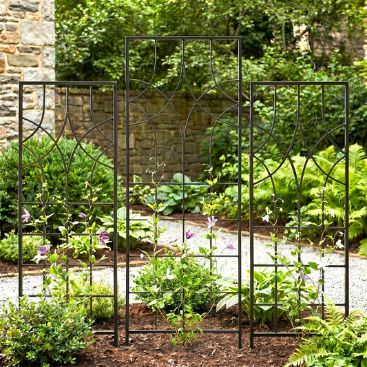 H Potter Geometric Garden Trellis Set of 3 black finish in garden bed with clematis
