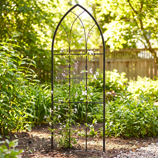H Potter small gothic trellis in black finish in garden with vines