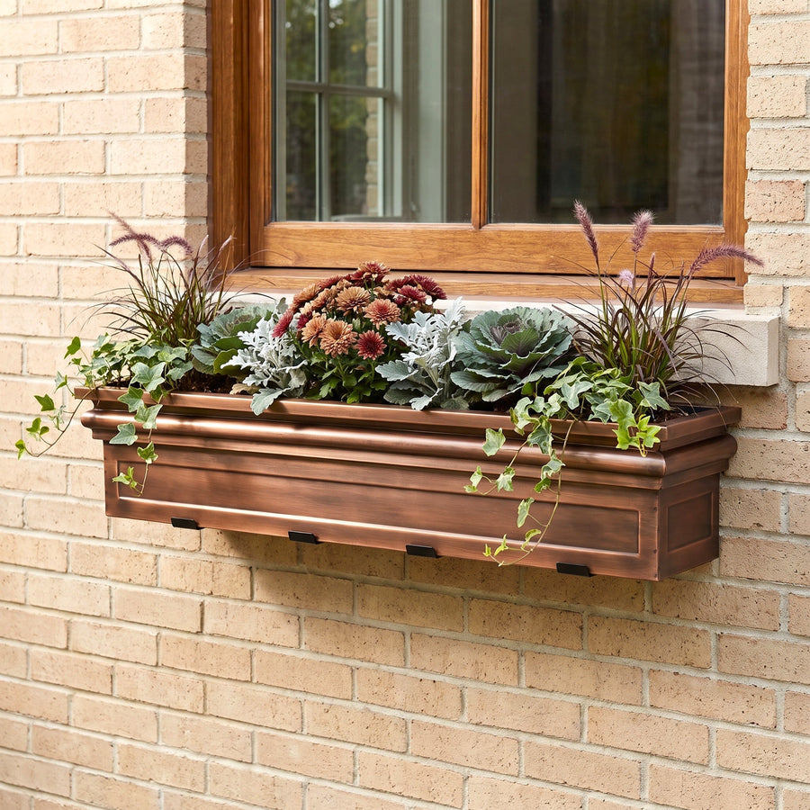 Window Boxes for Summer and Fall: What to Plant and How to Keep It Going